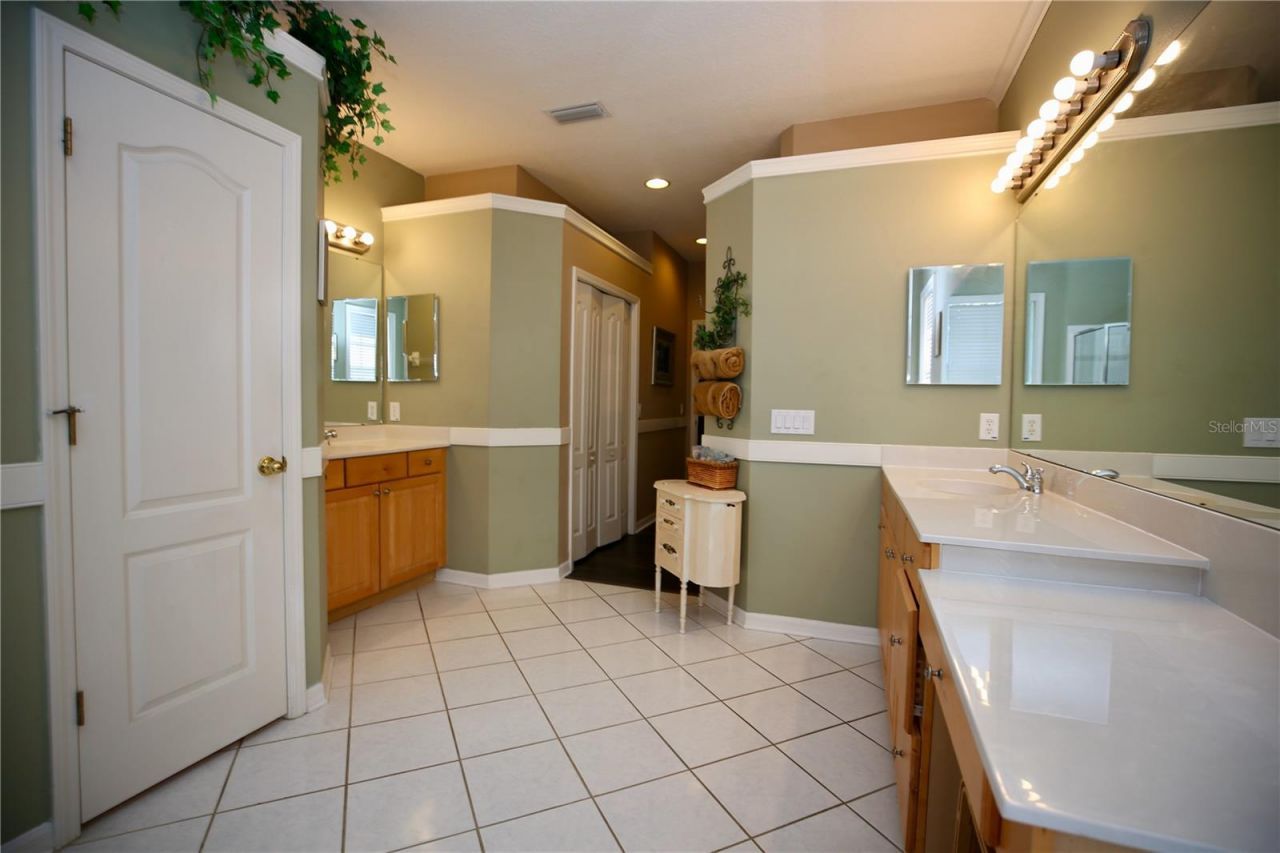 2410 Tea Olive Terrace, Valrico, FL 33594 Photo