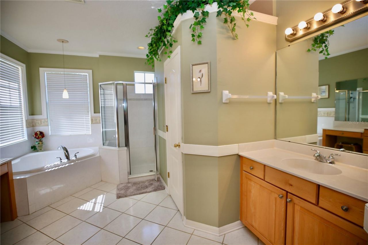 2410 Tea Olive Terrace, Valrico, FL 33594 Photo