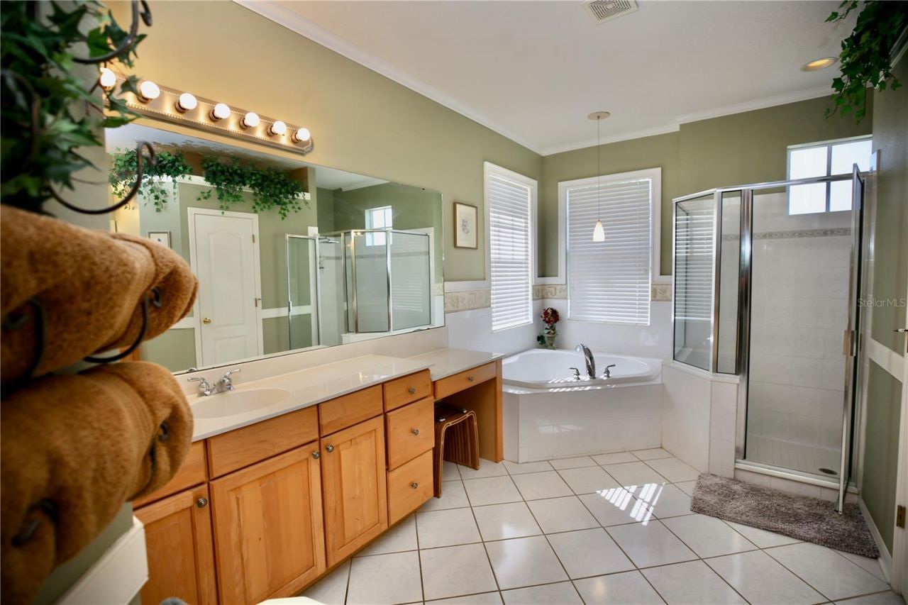 2410 Tea Olive Terrace, Valrico, FL 33594 Photo