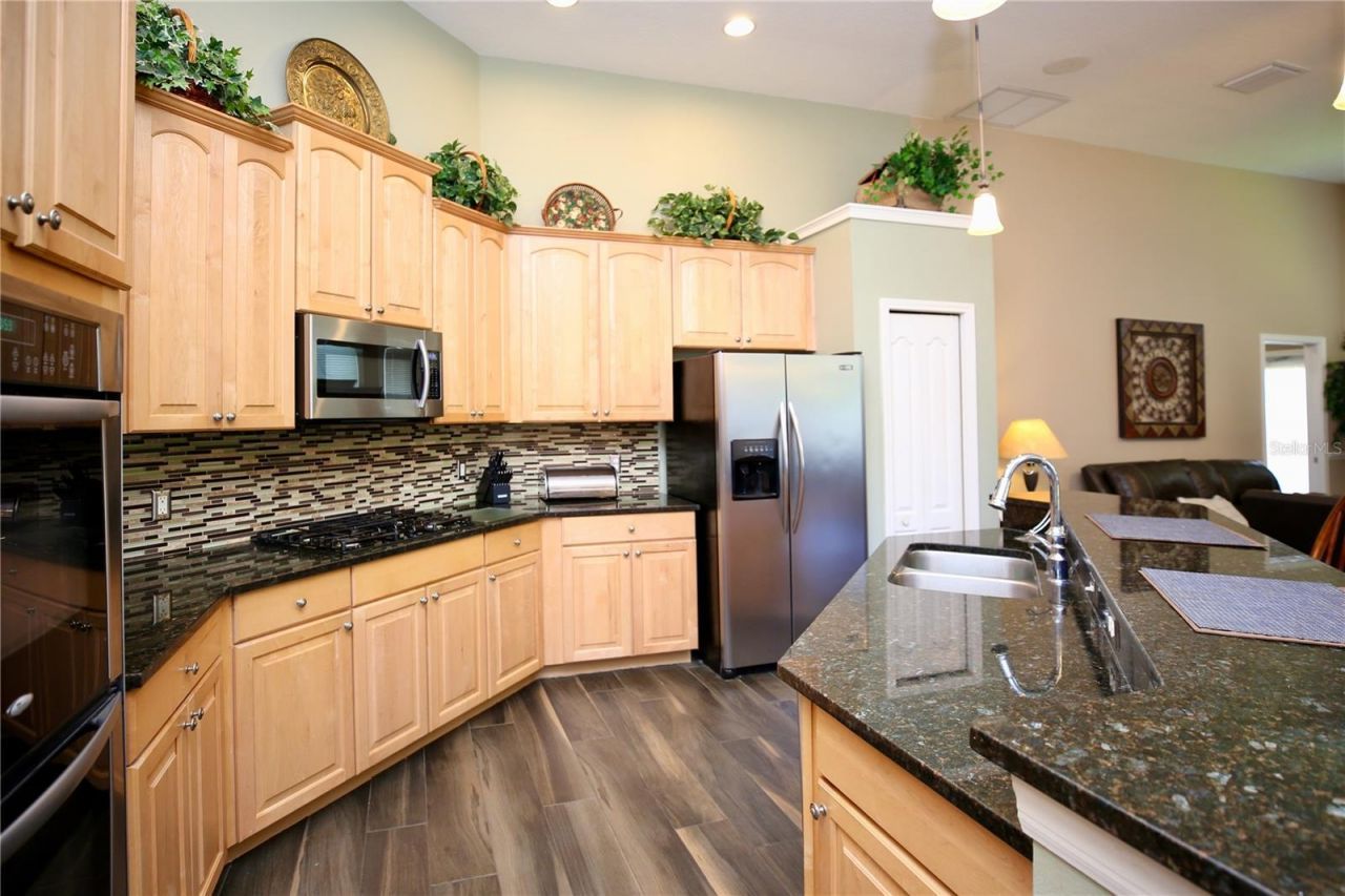 2410 Tea Olive Terrace, Valrico, FL 33594 Photo