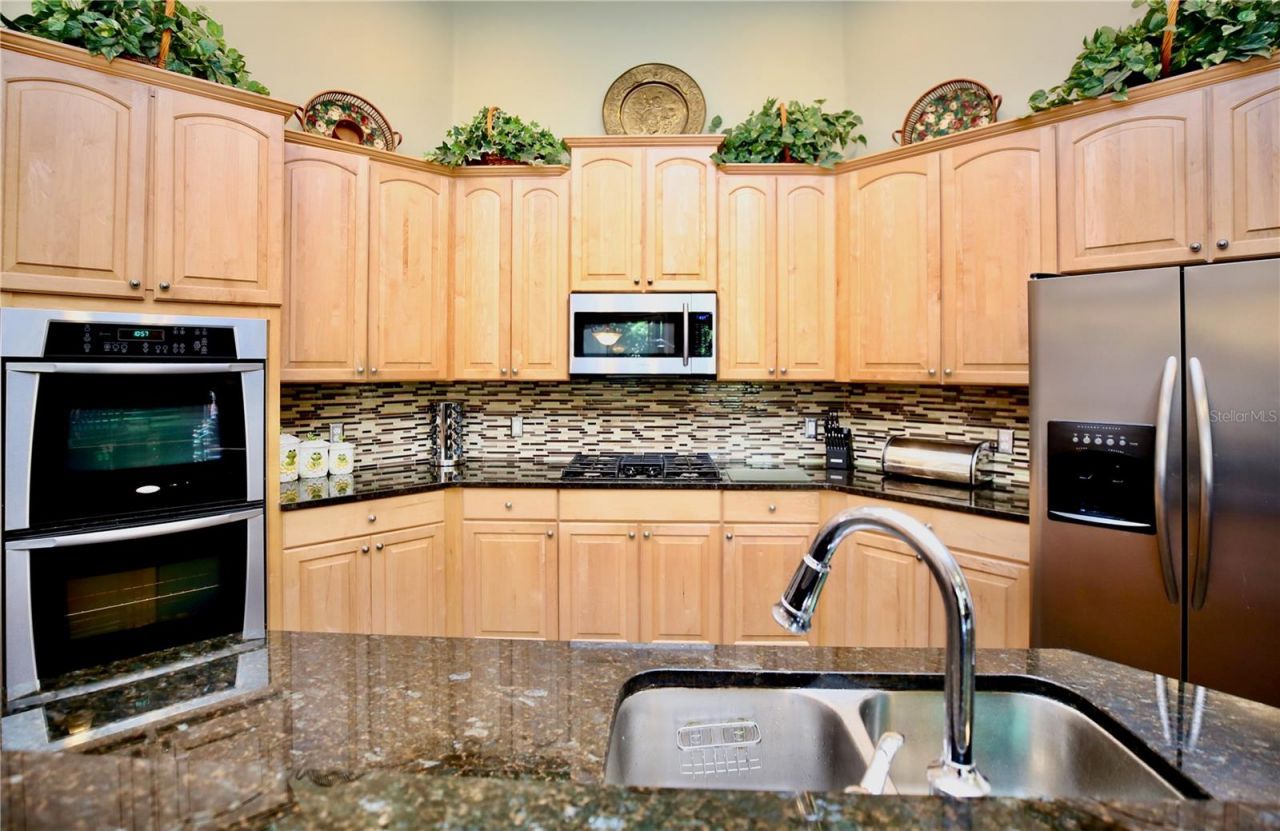 2410 Tea Olive Terrace, Valrico, FL 33594 Photo