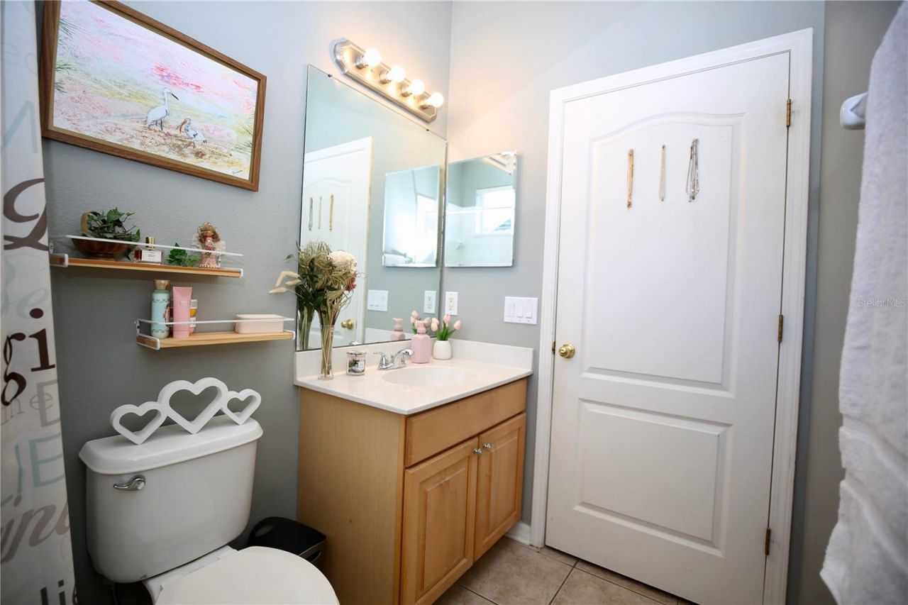 2410 Tea Olive Terrace, Valrico, FL 33594 Photo