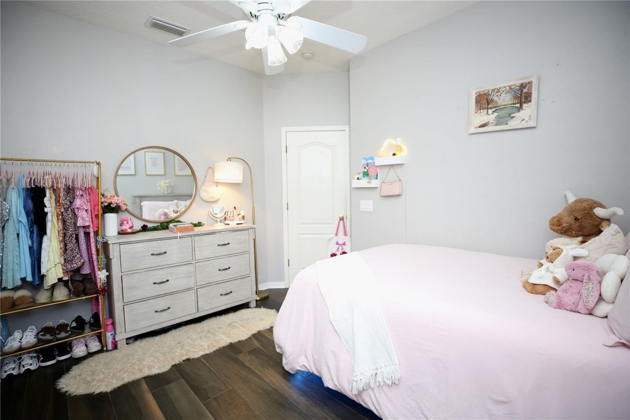 2410 Tea Olive Terrace, Valrico, FL 33594 Photo