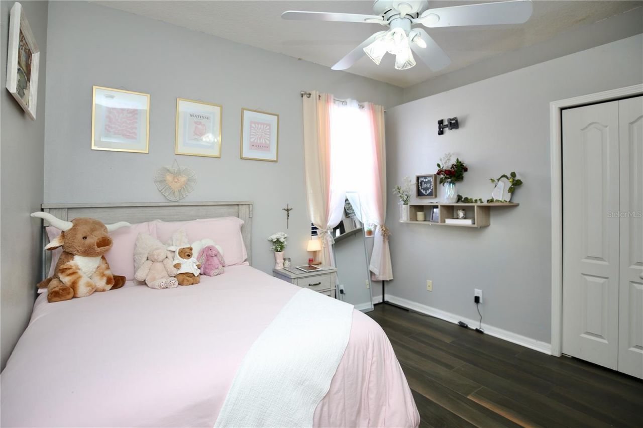 2410 Tea Olive Terrace, Valrico, FL 33594 Photo