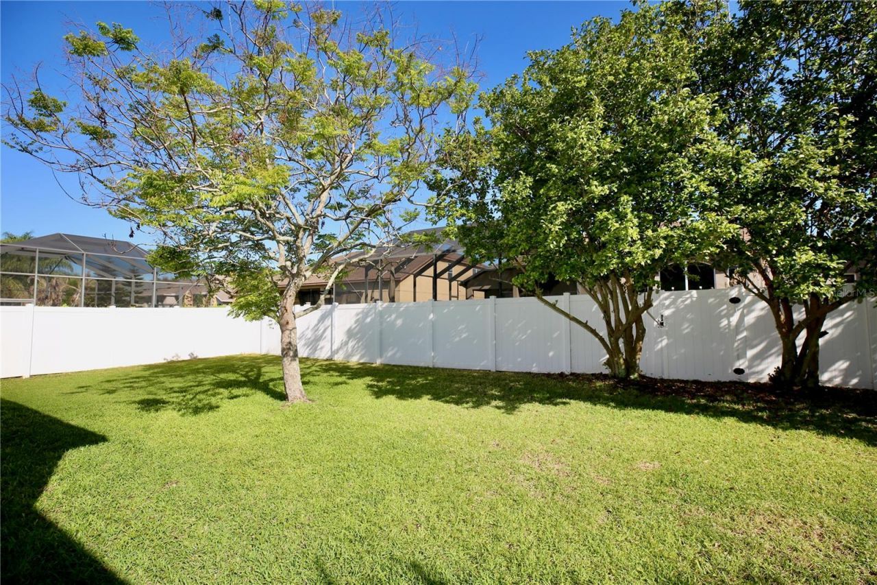 2410 Tea Olive Terrace, Valrico, FL 33594 Photo