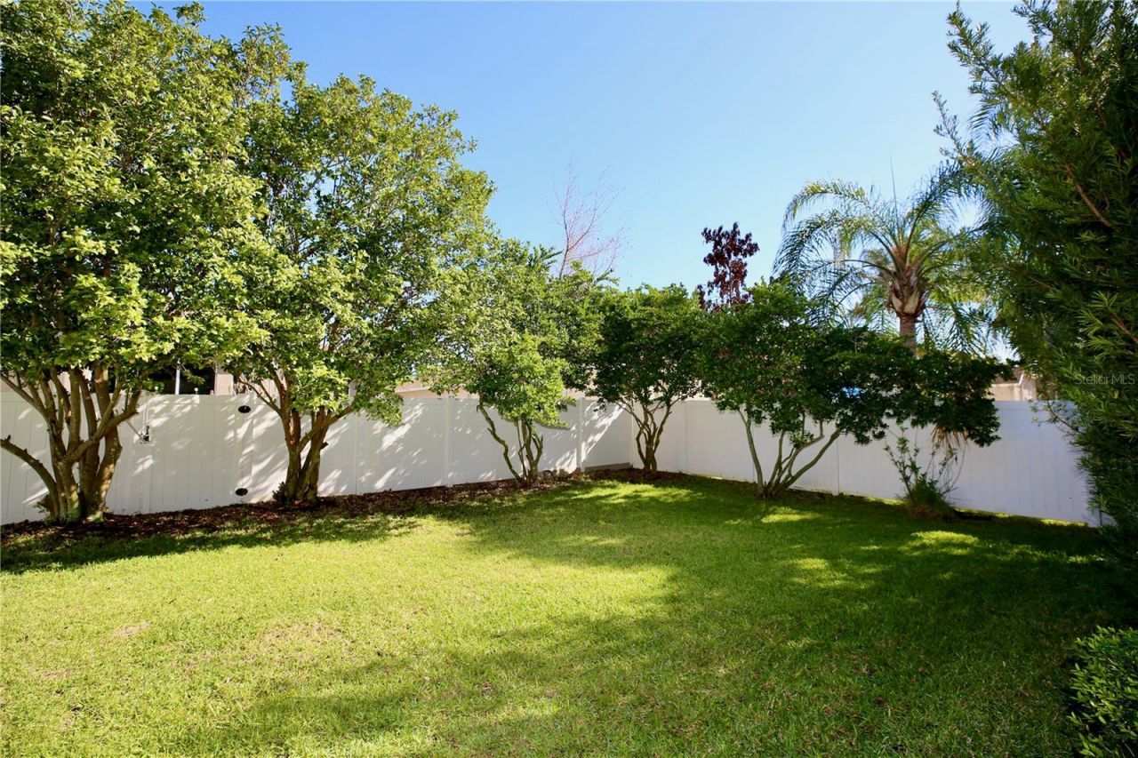 2410 Tea Olive Terrace, Valrico, FL 33594 Photo