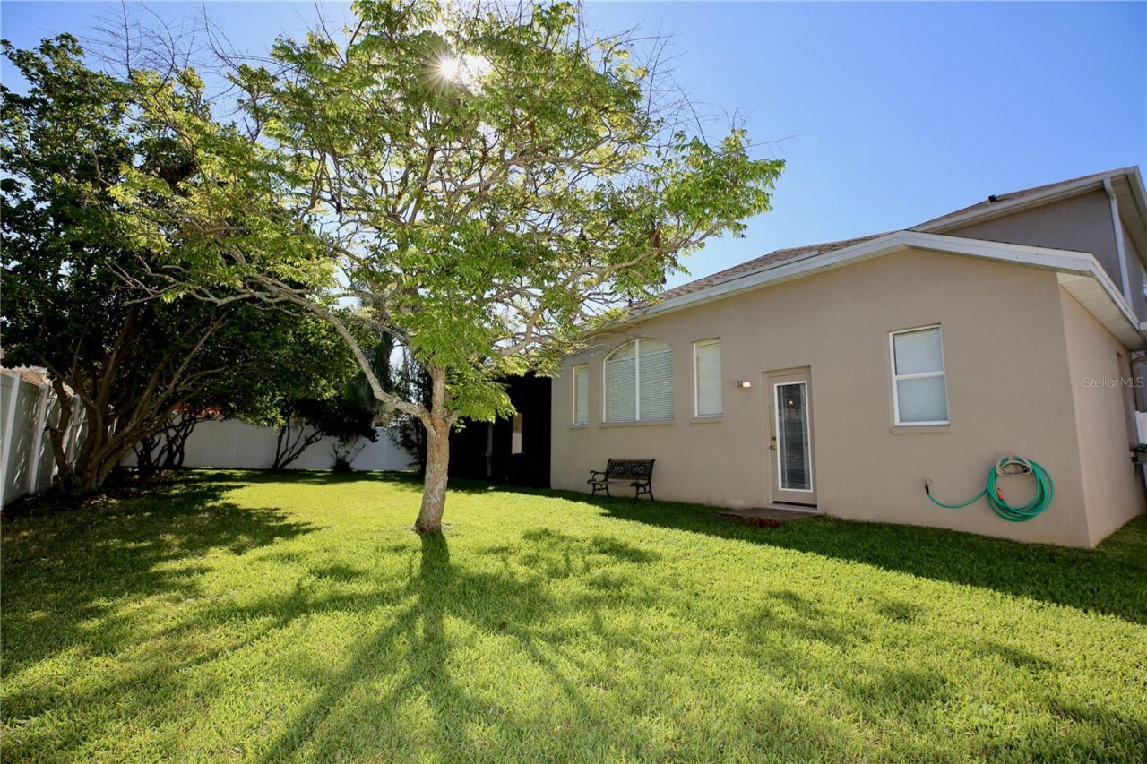 2410 Tea Olive Terrace, Valrico, FL 33594 Photo