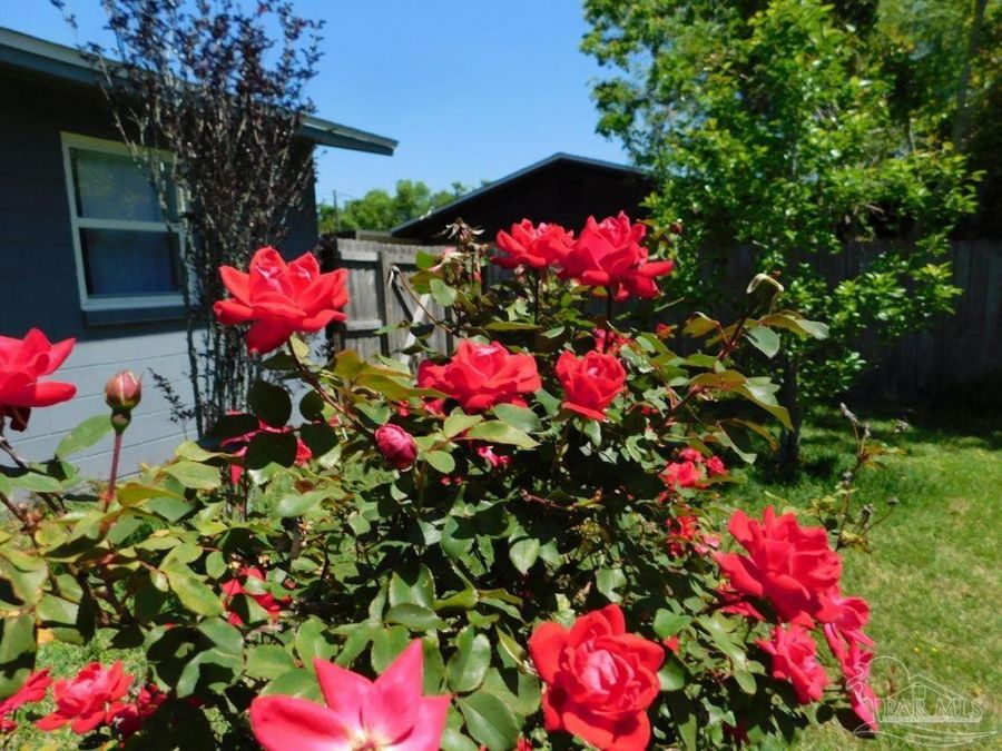 Property Image 44