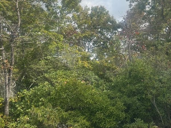 LOT 16 Brown Hawk Drive, Clayton, GA 30525