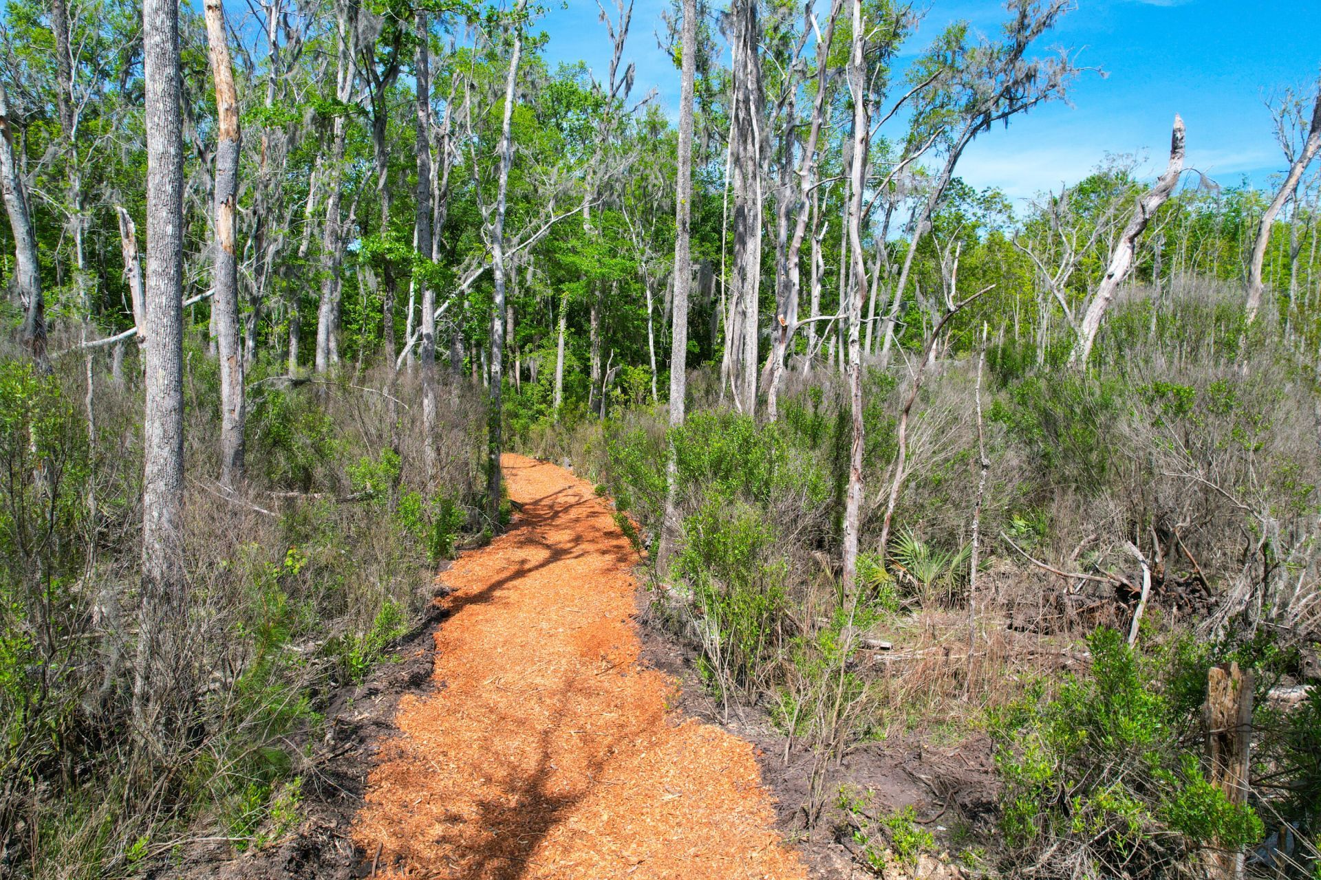 3195 Old Pond Road Photo 29