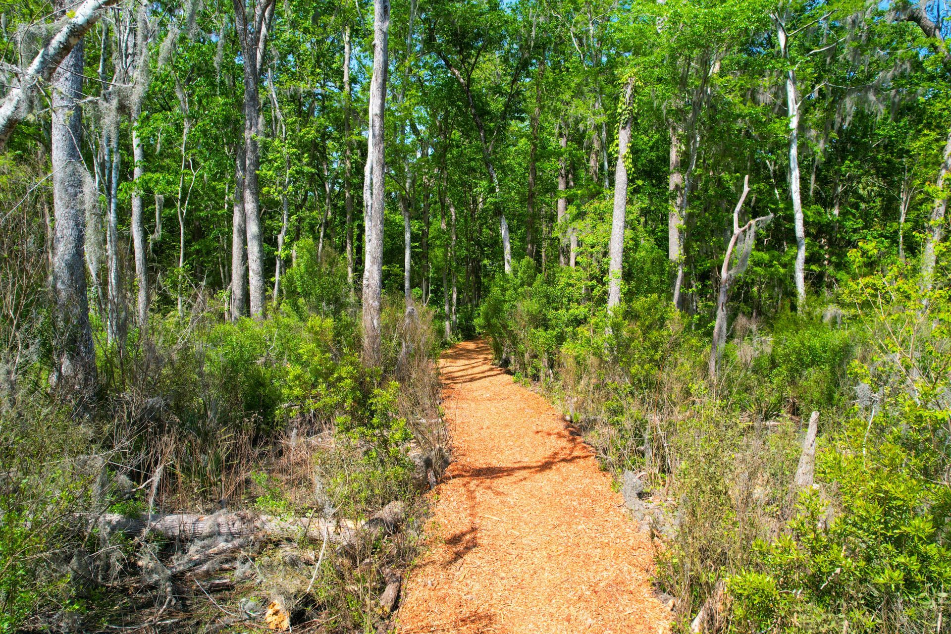 3195 Old Pond Road Photo 30