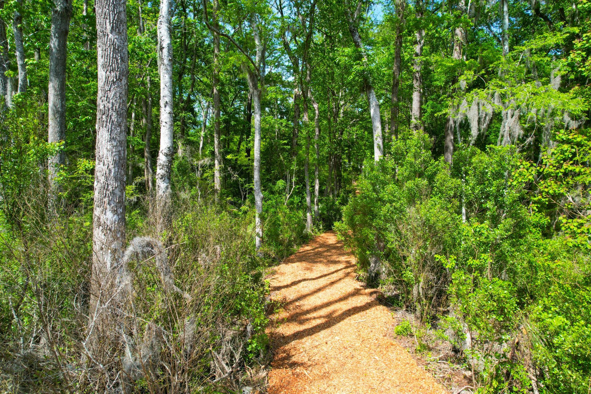 3195 Old Pond Road Photo 31