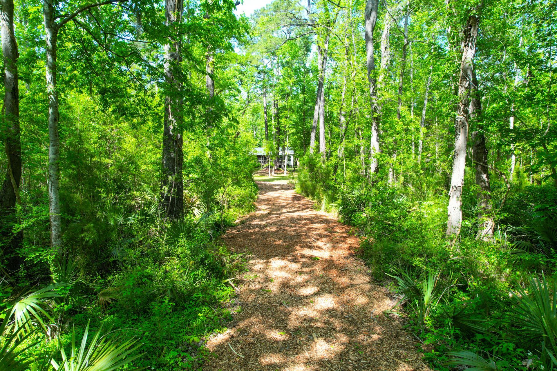 3195 Old Pond Road Photo 32