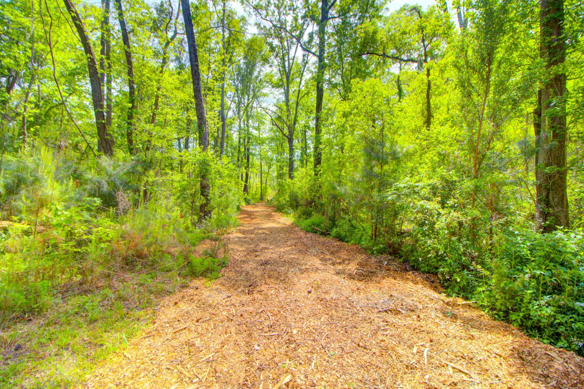 3195 Old Pond Road Photo 34