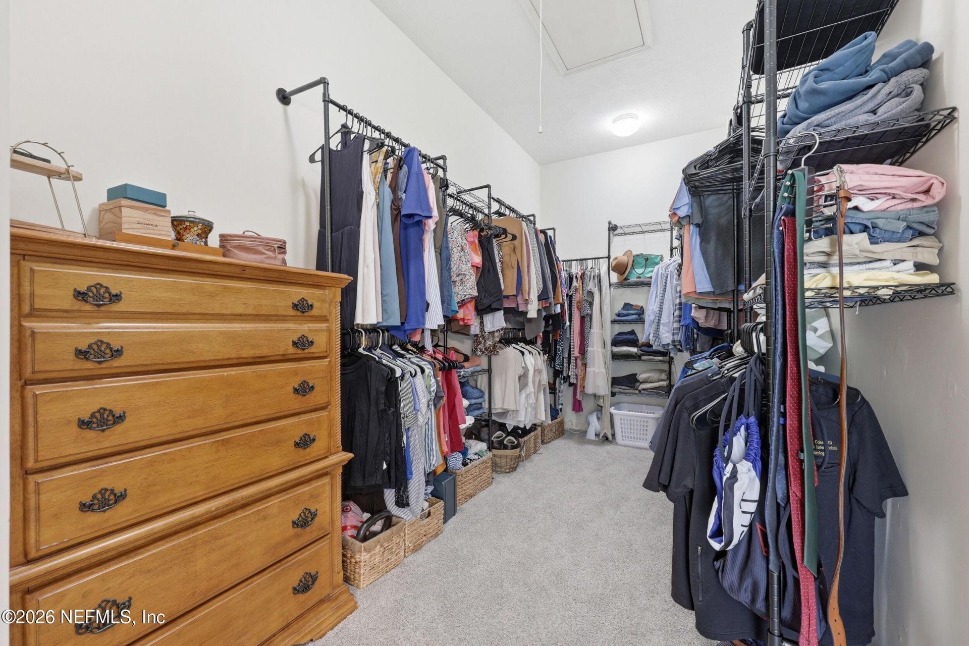 3667 Cattail Drive S, Jacksonville, FL 32223 Photo