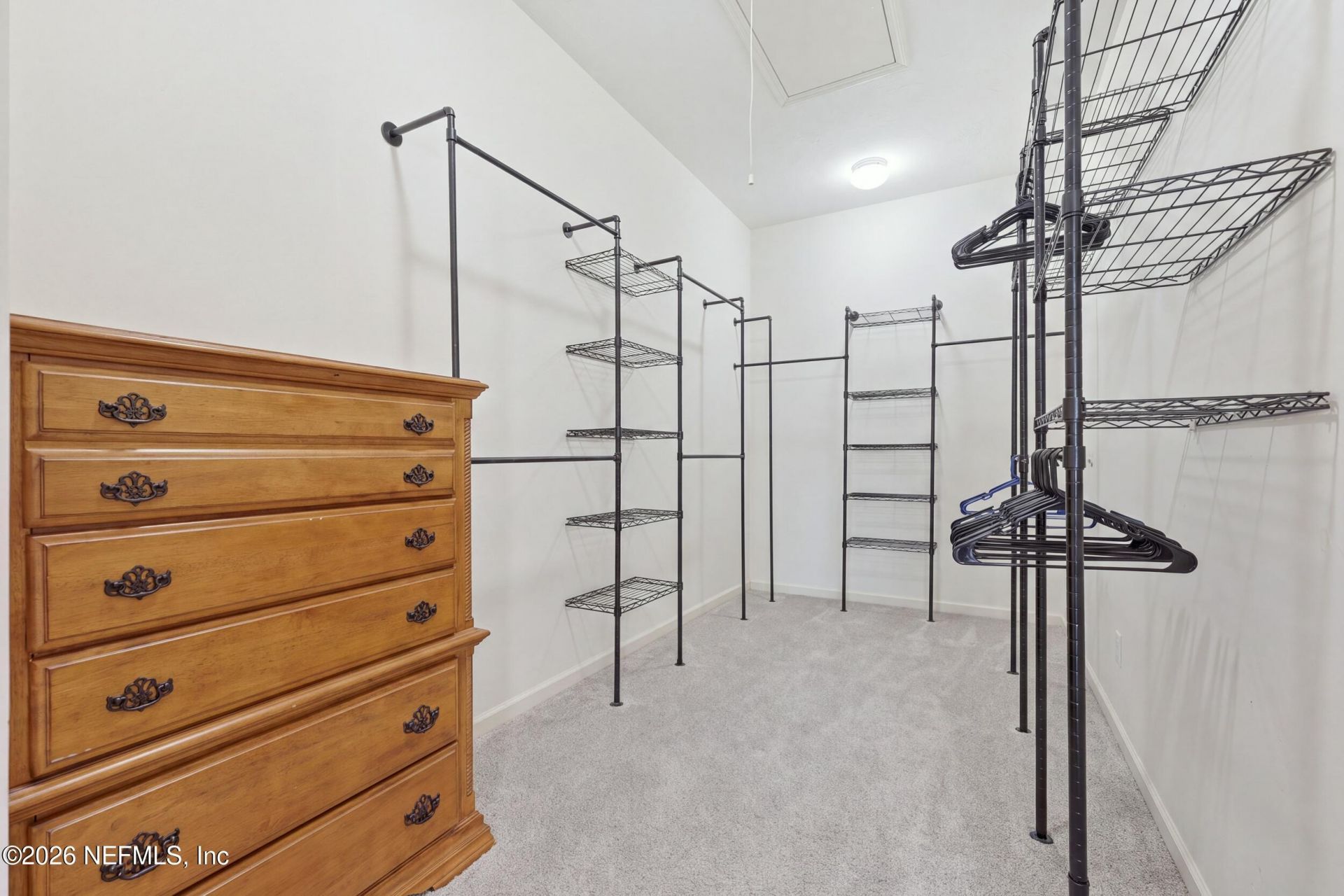 3667 Cattail Drive S, Jacksonville, FL 32223 Photo