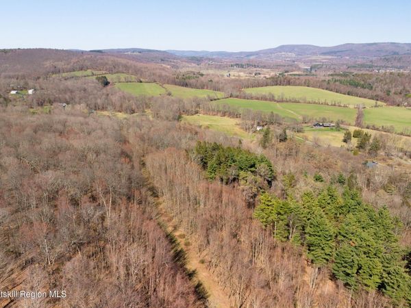 Lot 15 Pioneer Drive , Copake, NY 12516