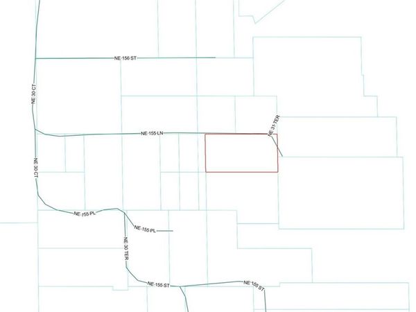 NE 155TH LANE , CITRA, FL 32113
