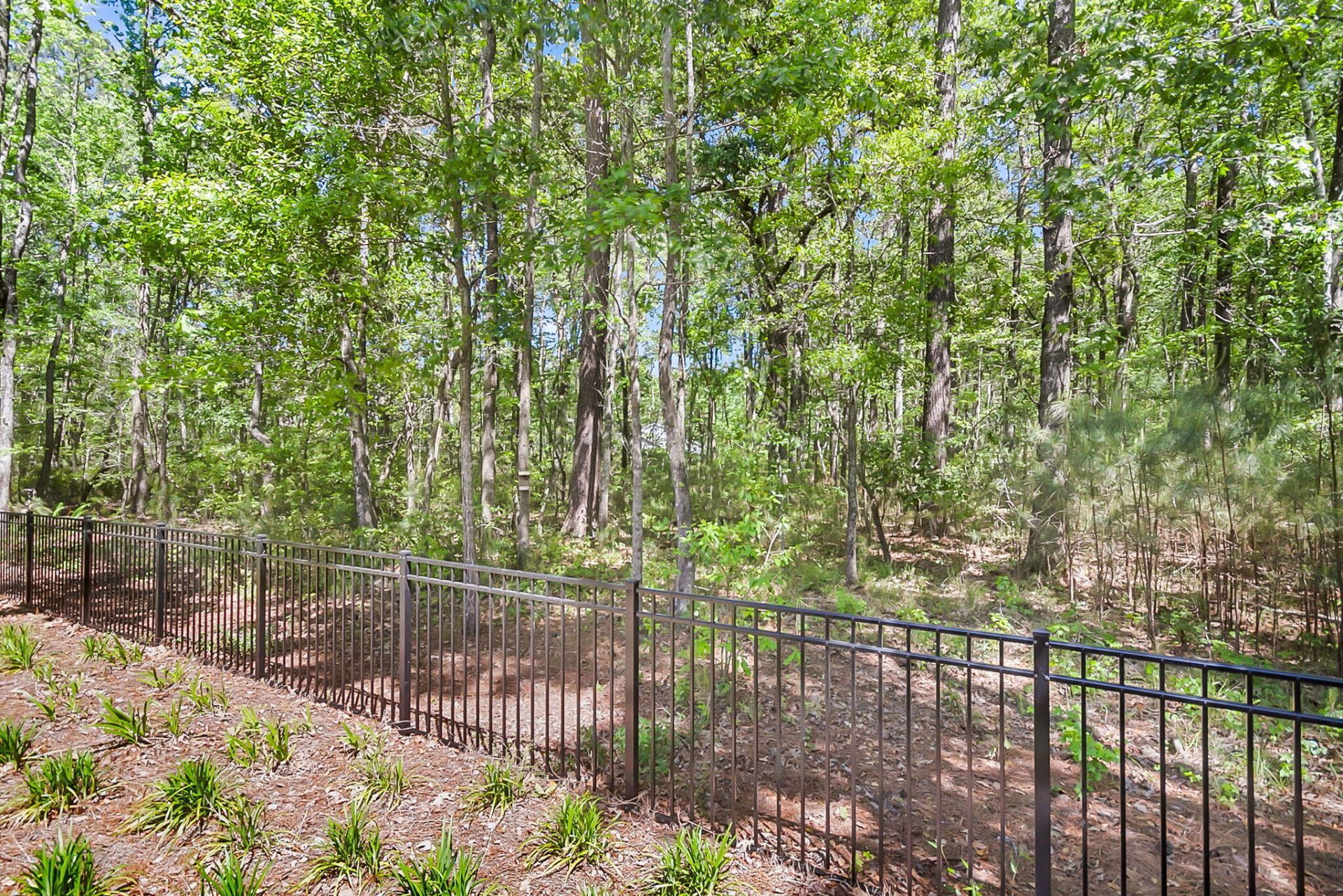 6016 Wild Azalea Road Photo 67