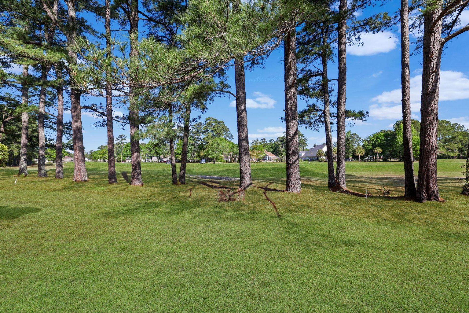 754 Foxtail Dr. Photo 36