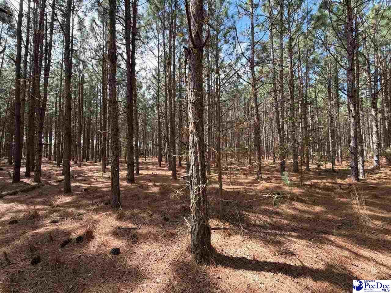 Mta 6 Heustess Rd Photo 9