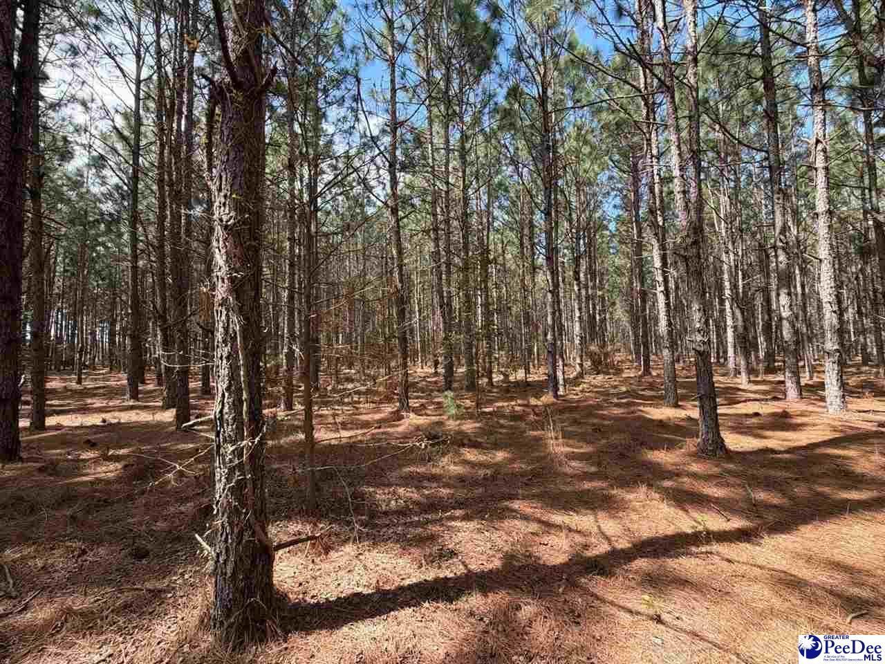 Mta 6 Heustess Rd Photo 10