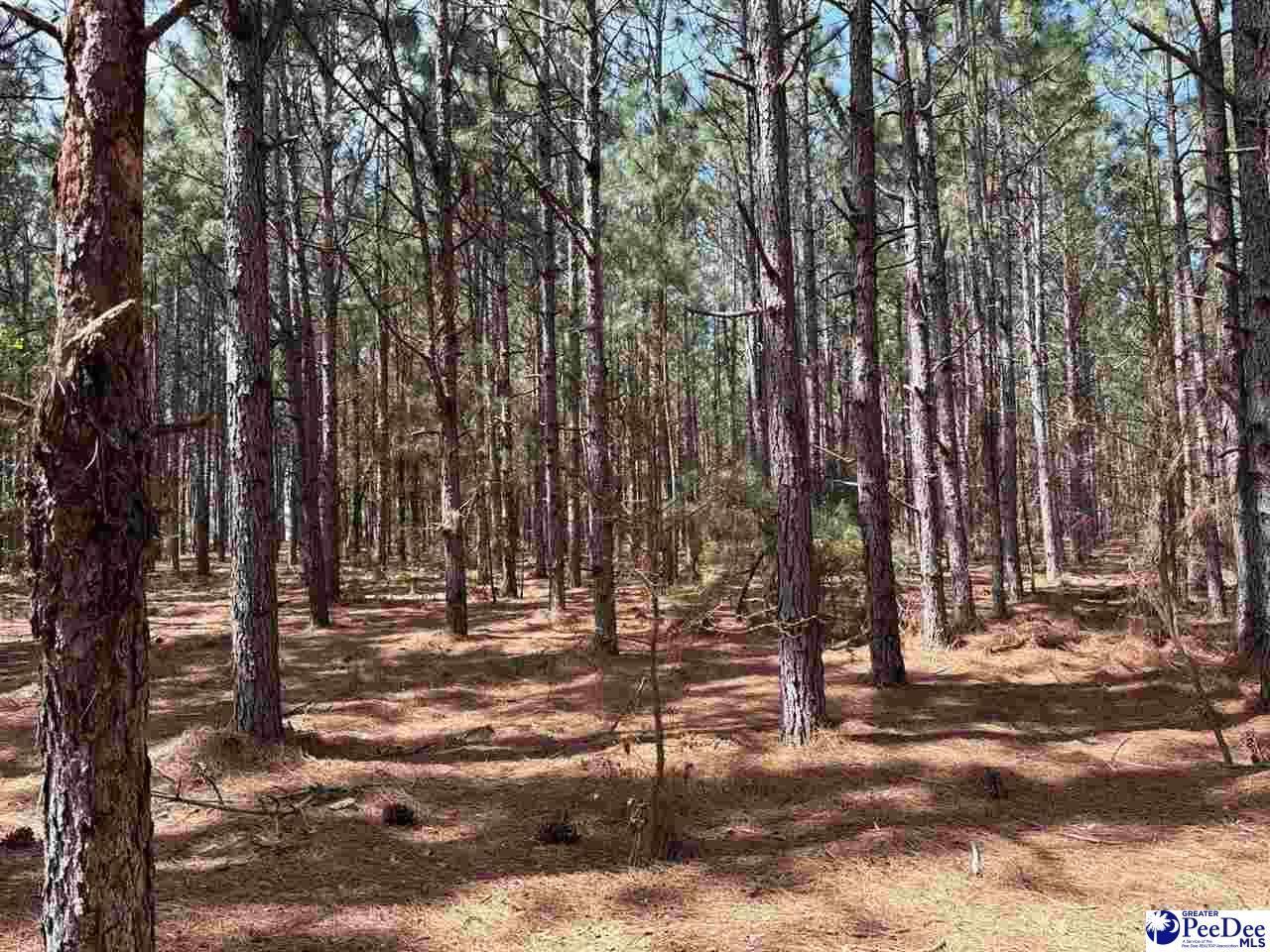 Mta 6 Heustess Rd Photo 14