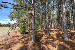 Mta 6 Heustess Rd photo 4