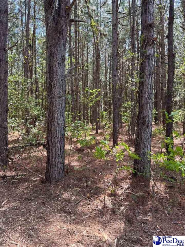 Mta 6 Heustess Rd Photo 21