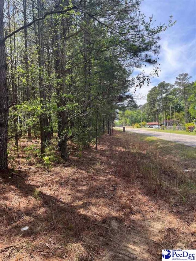 Mta 6 Heustess Rd Photo 22