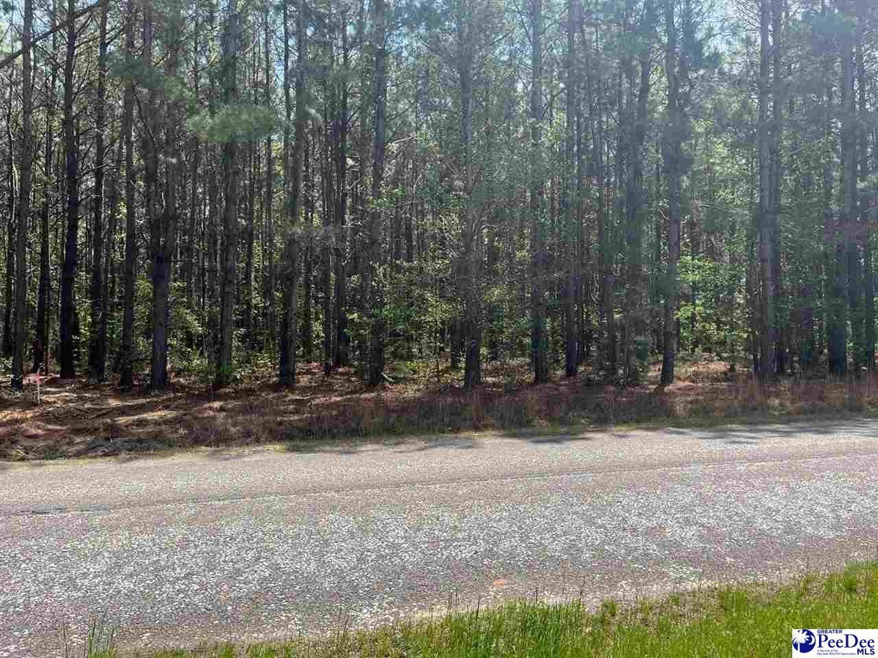 Mta 6 Heustess Rd Photo 4