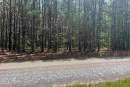 Mta 6 Heustess Rd photo 4