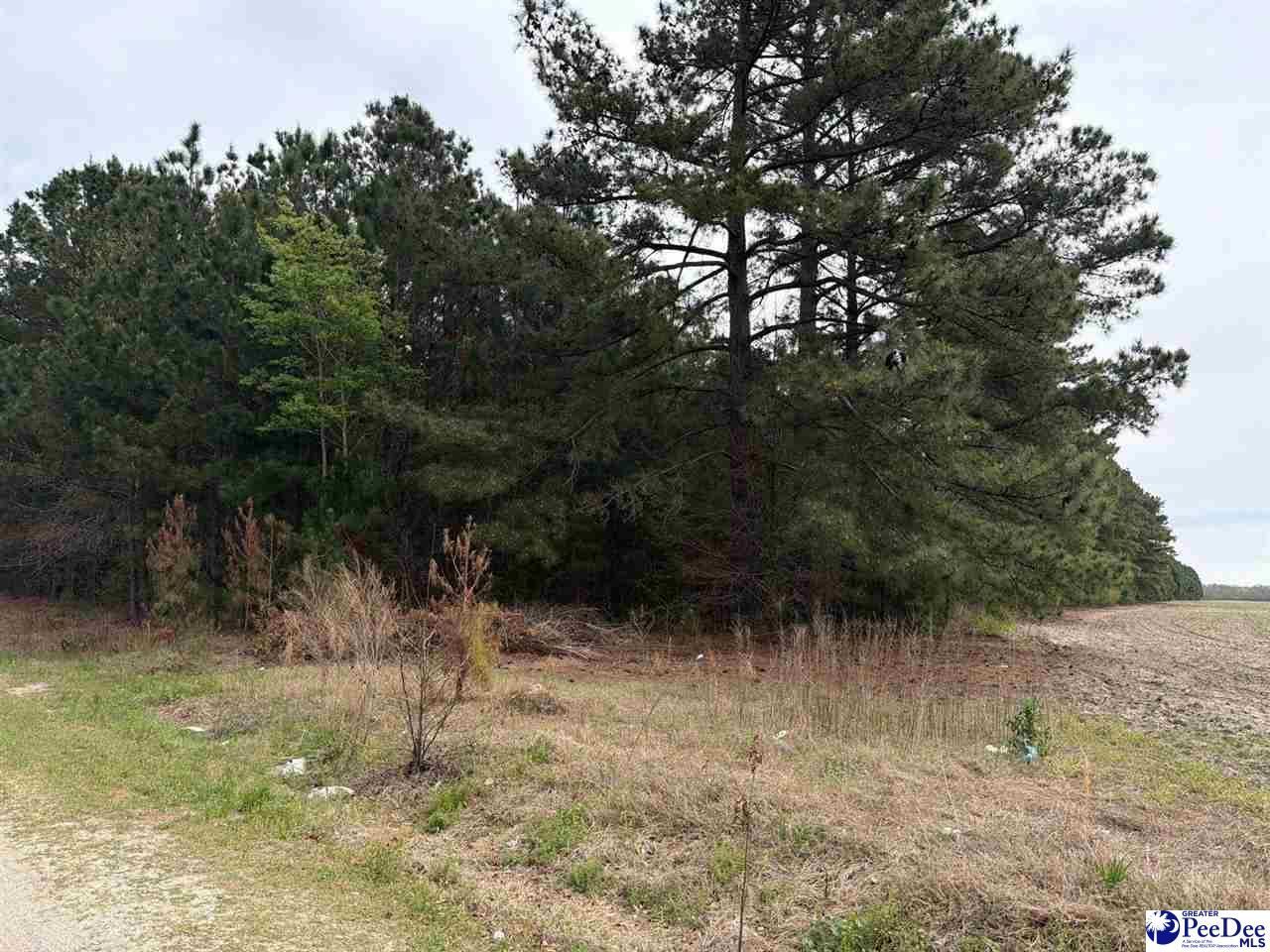 Mta 6 Heustess Rd Photo 5