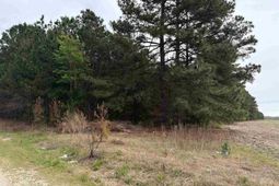 Mta 6 Heustess Rd photo 4