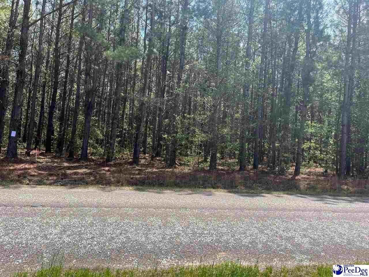 Mta 6 Heustess Rd Photo 6