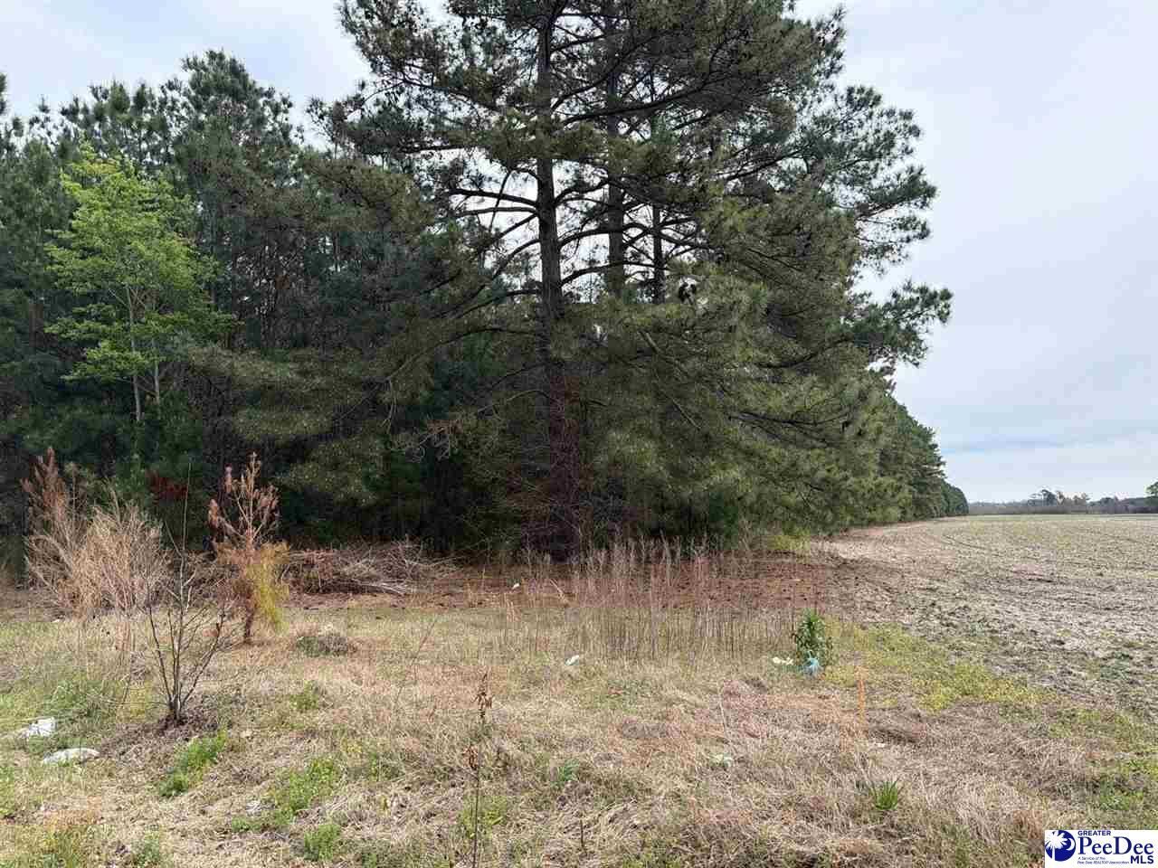 Mta 6 Heustess Rd Photo 7