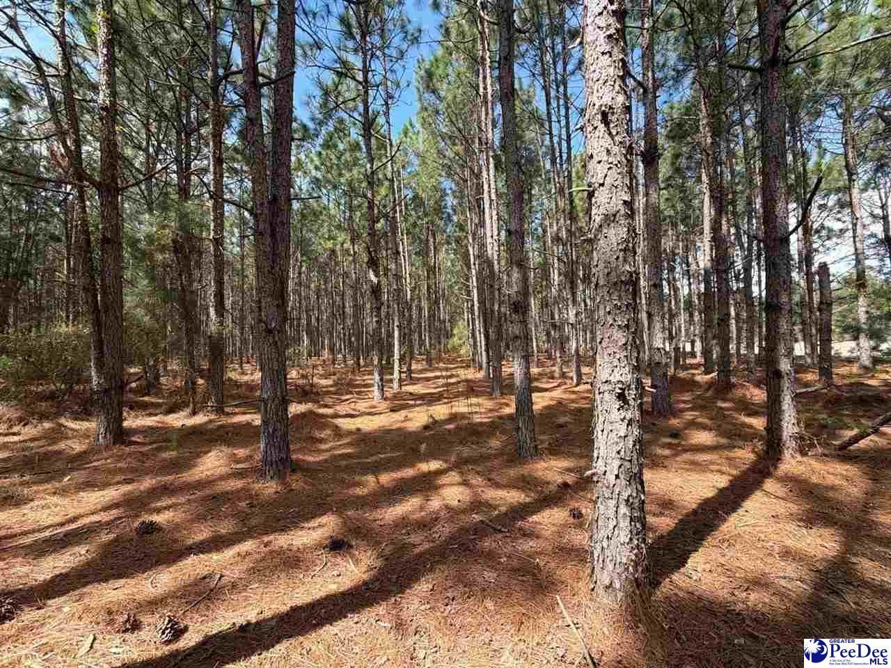 Mta 7 Heustess Rd Photo 8