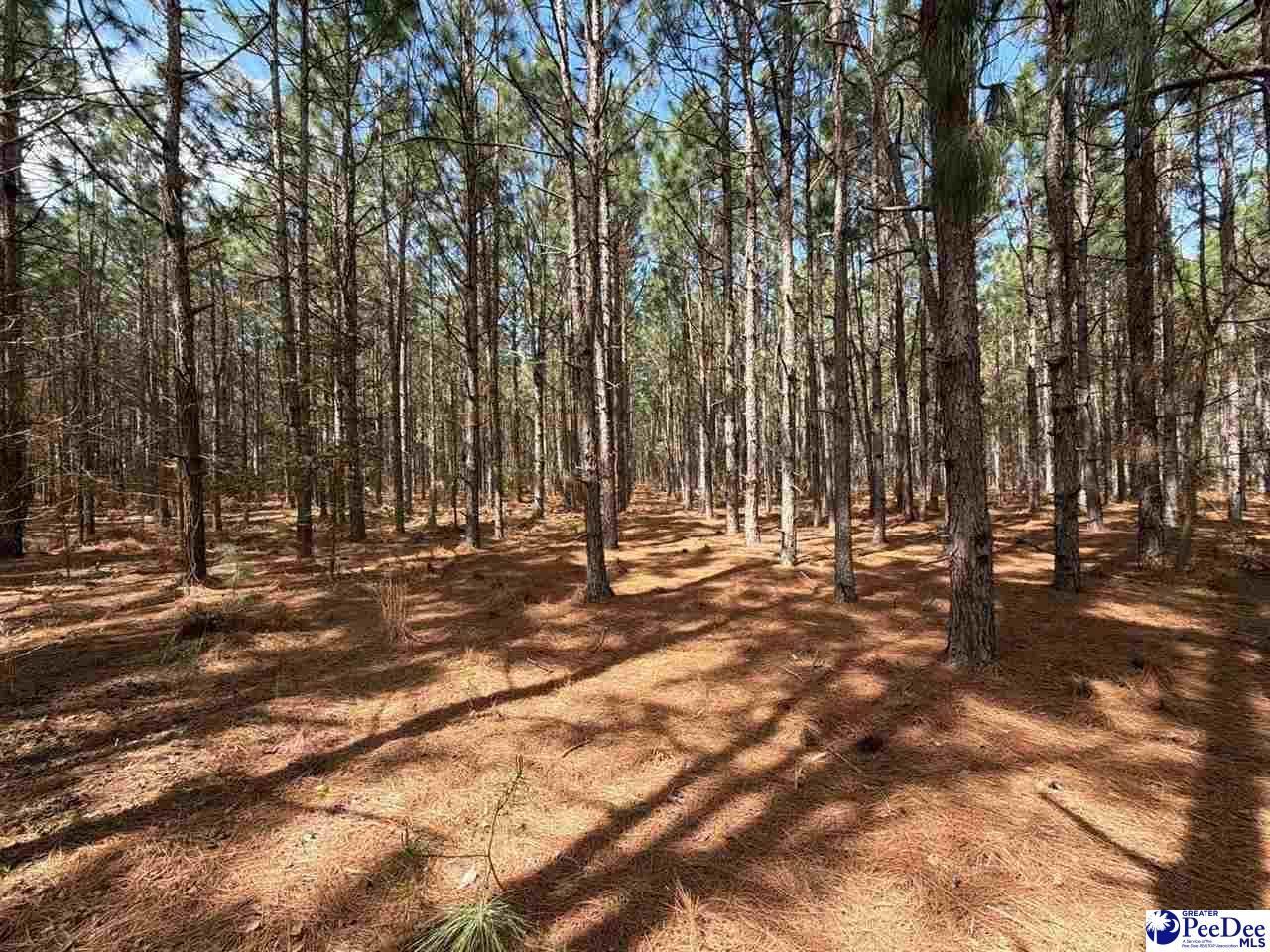 Mta 7 Heustess Rd Photo 9