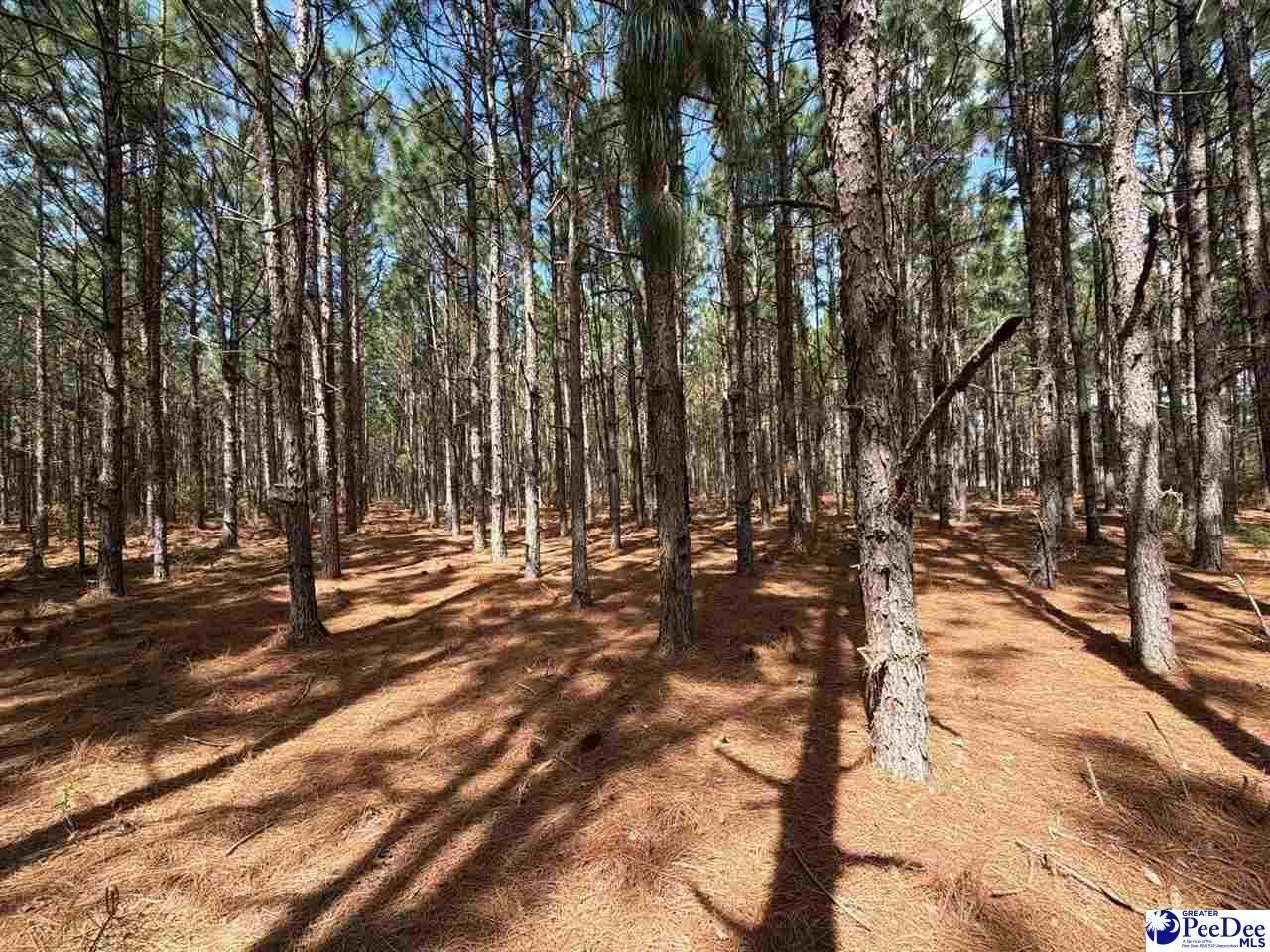 Mta 7 Heustess Rd Photo 10