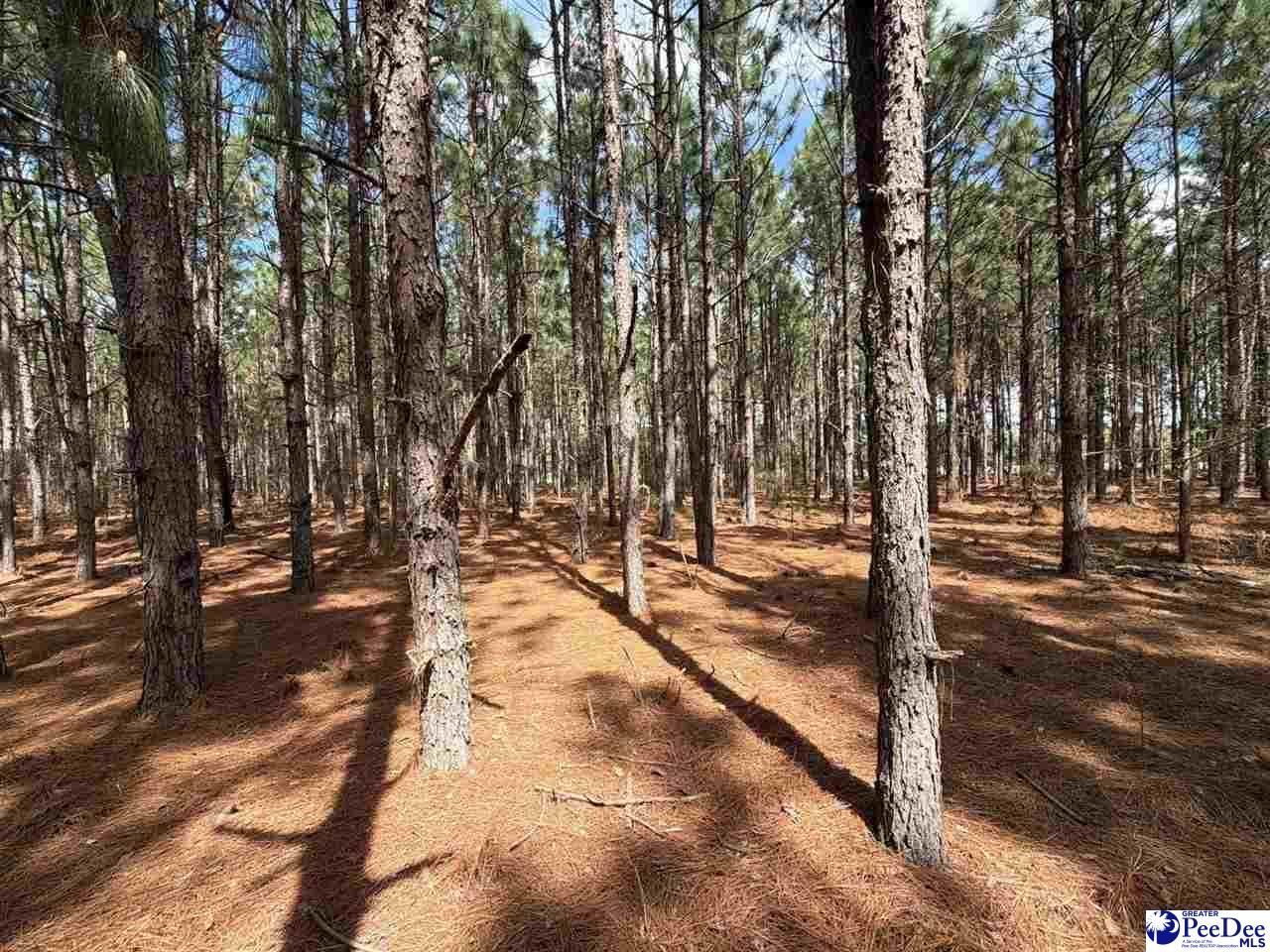 Mta 7 Heustess Rd Photo 11