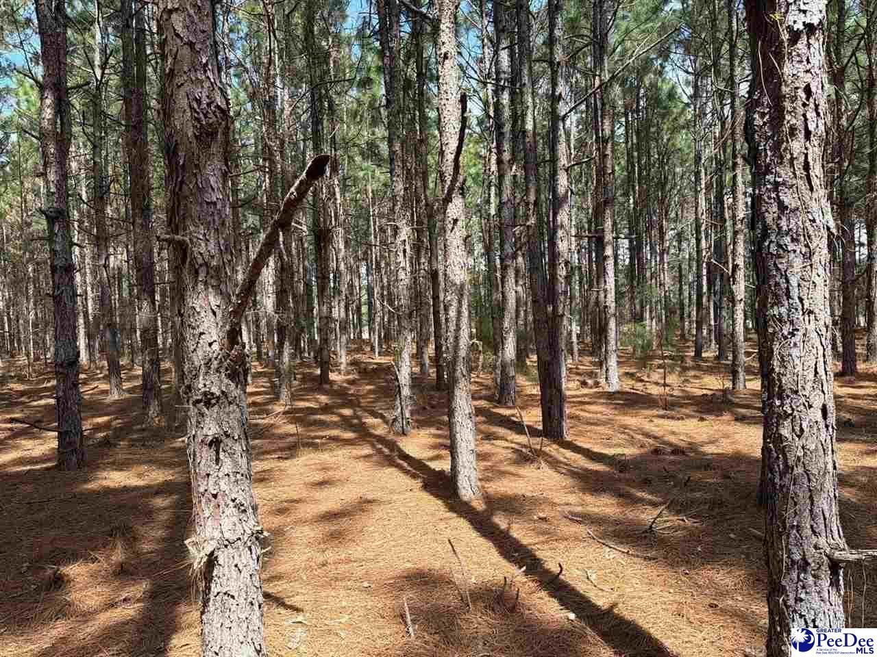 Mta 7 Heustess Rd Photo 12