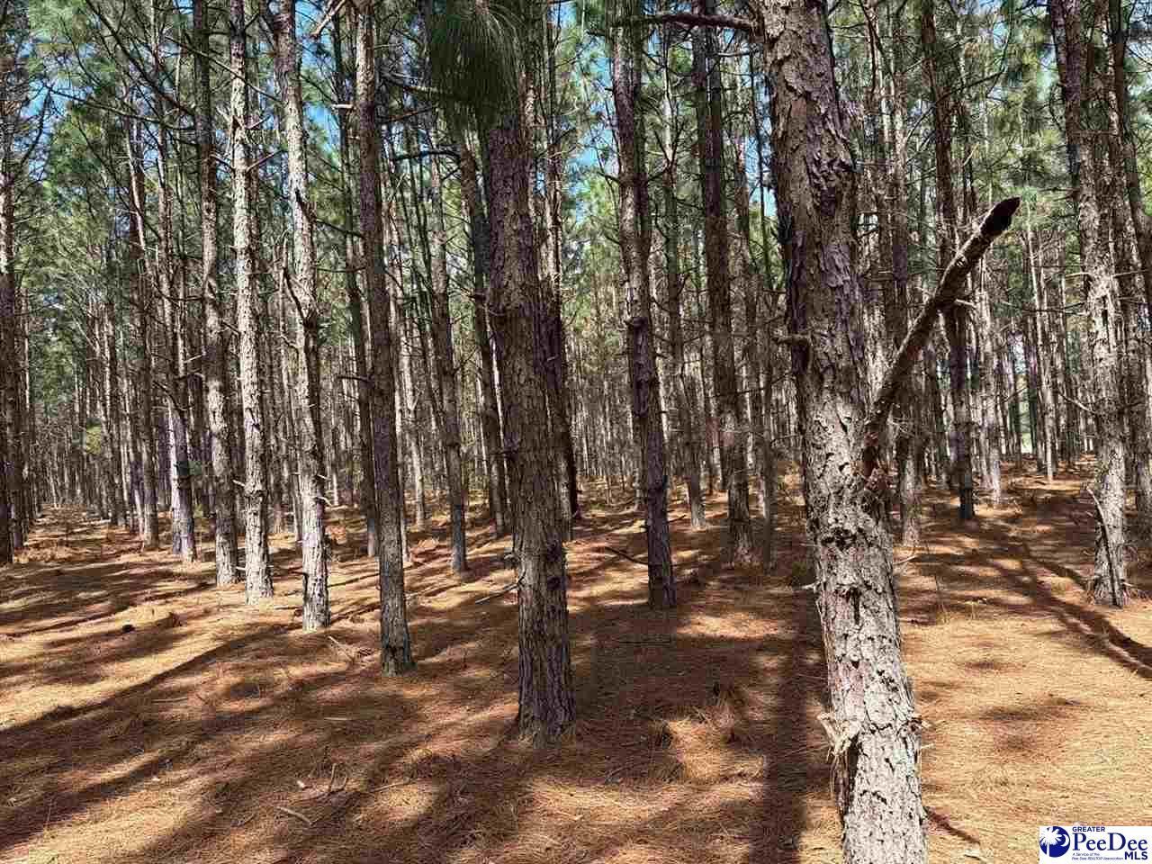 Mta 7 Heustess Rd Photo 13