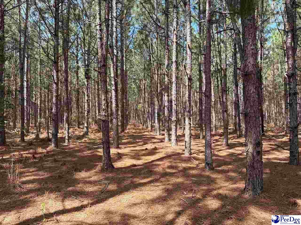 Mta 7 Heustess Rd Photo 14