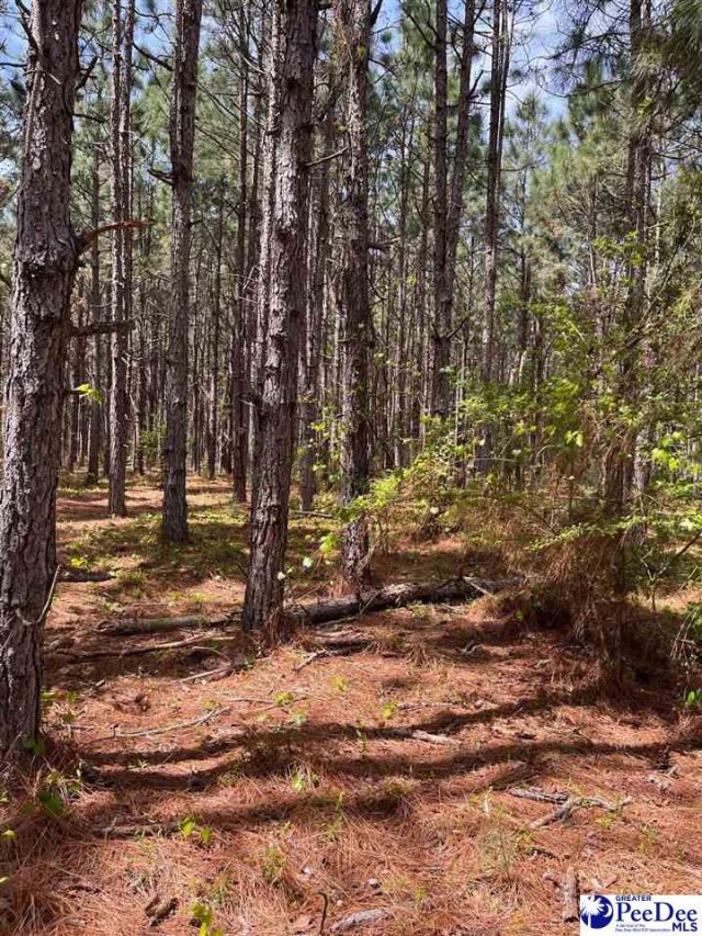 Mta 7 Heustess Rd Photo 15