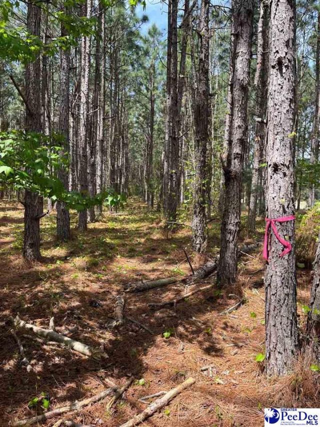 Mta 7 Heustess Rd Photo 16