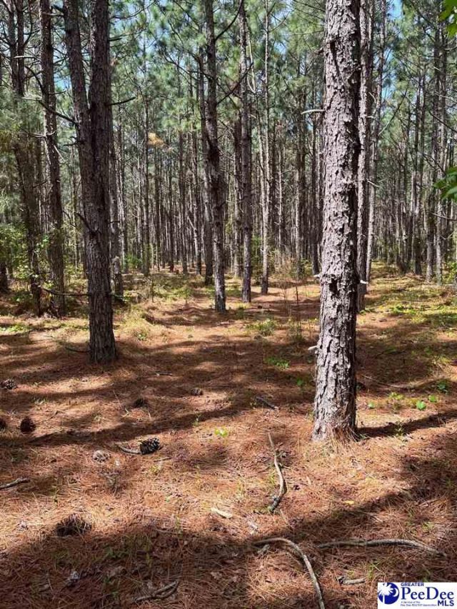 Mta 7 Heustess Rd Photo 17