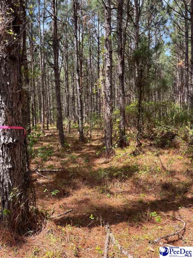 Mta 7 Heustess Rd Photo 18