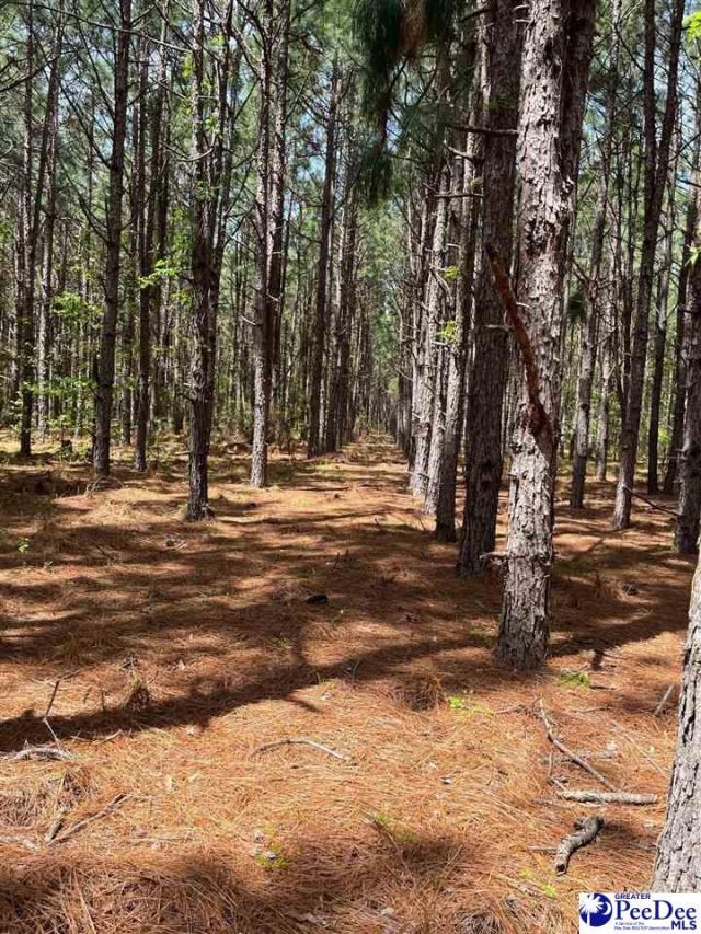 Mta 7 Heustess Rd Photo 19