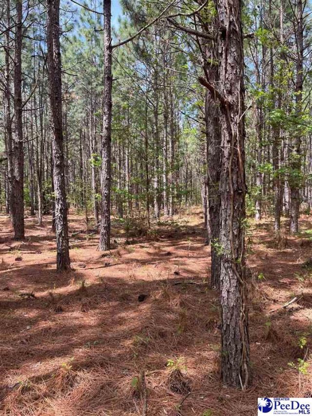 Mta 7 Heustess Rd Photo 20