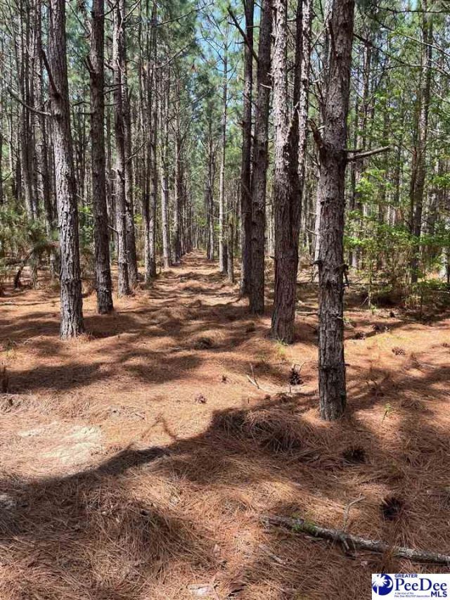 Mta 7 Heustess Rd Photo 21